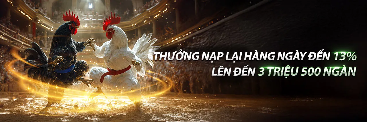 Tổng hợp khuyến mãi VF555